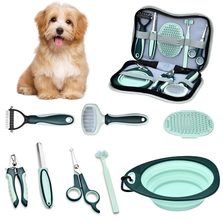 Animaux de compagnie